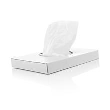 PLASTIC DAMESVERBANDZAKJES,11,5x23,5 cm, 30 zakjes