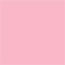 SERVET, 40x40cm ,2L,4-vw, 2000 stuks-Rose